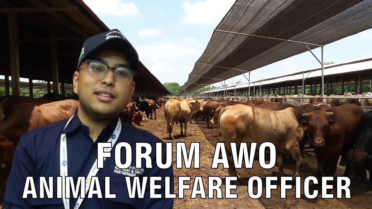 
                                 Forum-AWO-Animal-Welfare-Indonesia